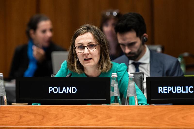 Intervention by the delegation of Poland. Photo credit: WFP/Matteo Minnella