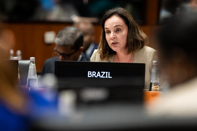 Intervention by the delegation of Brazil. Photo credit: WFP/Matteo Minnella