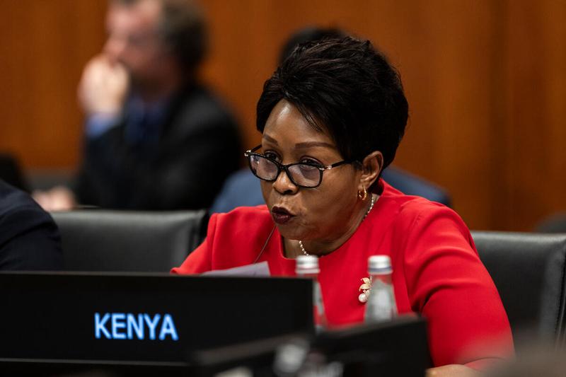 Intervention by H.E. Ms. Jackline Lumumba Yonga, Ambassador of Kenya. Photo credit: WFP/Matteo Minnella