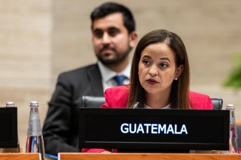 Intervention by H.E. Olga Maria Perez Tuna, Ambassador and Permanent Representative of Guatemala. Photo credit: WFP/Matteo Minnella