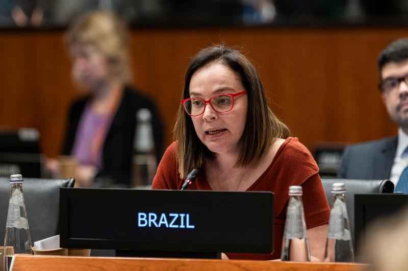 Intervention by the delegation of Brazil. Photo credit: WFP/Matteo Minnella
