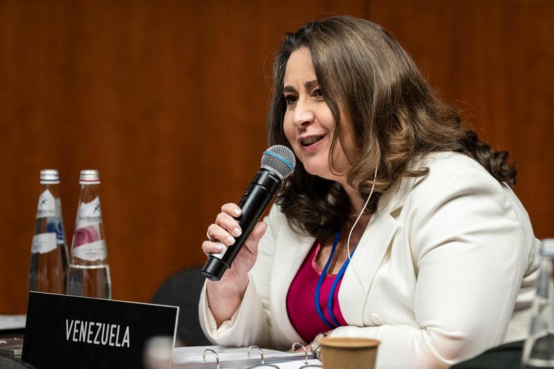 Intervention by the delegation of Venezuela. Photo credit: WFP/Matteo Minnella