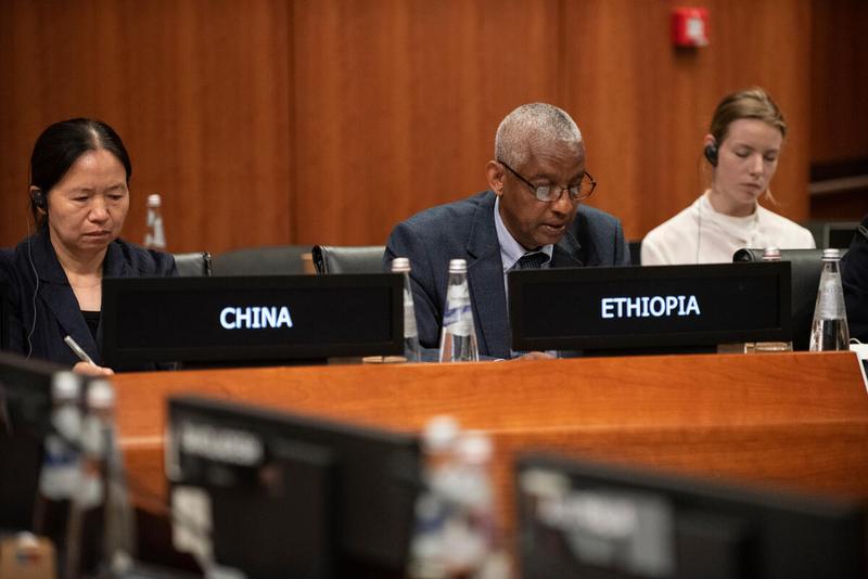 Intervention by the delegation of Ethiopia. Photo credit: WFP/Daria Addabbo