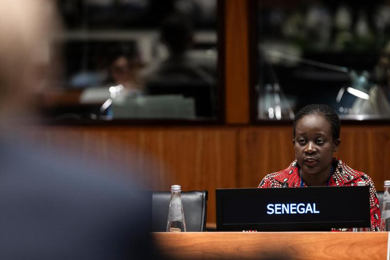 Intervention by the delegation of Senegal. Photo credit: WFP/Matteo Minnella