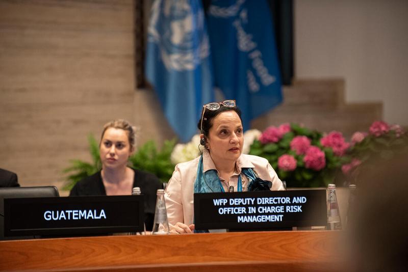 Intervention by the delegation of Harriet Spanos, WFP Deputy Director Risk Management Division. Photo credit: WFP/Daria Addabbo