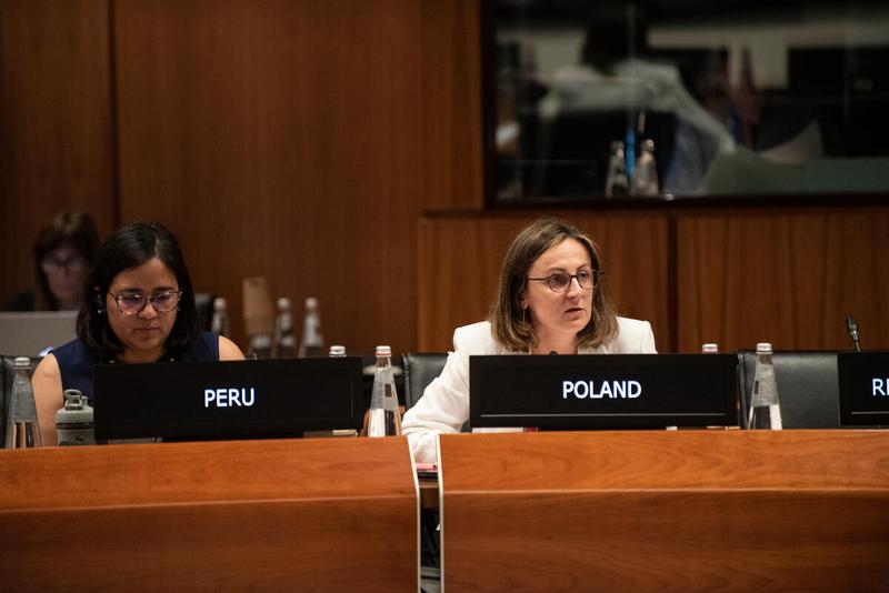 Intervention by the delegation of Poland. Photo credit: WFP/Daria Addabbo