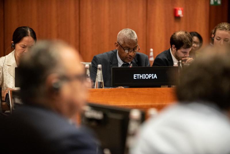 Intervention by the delegation of Ethiopia. Photo credit: WFP/Daria Addabbo