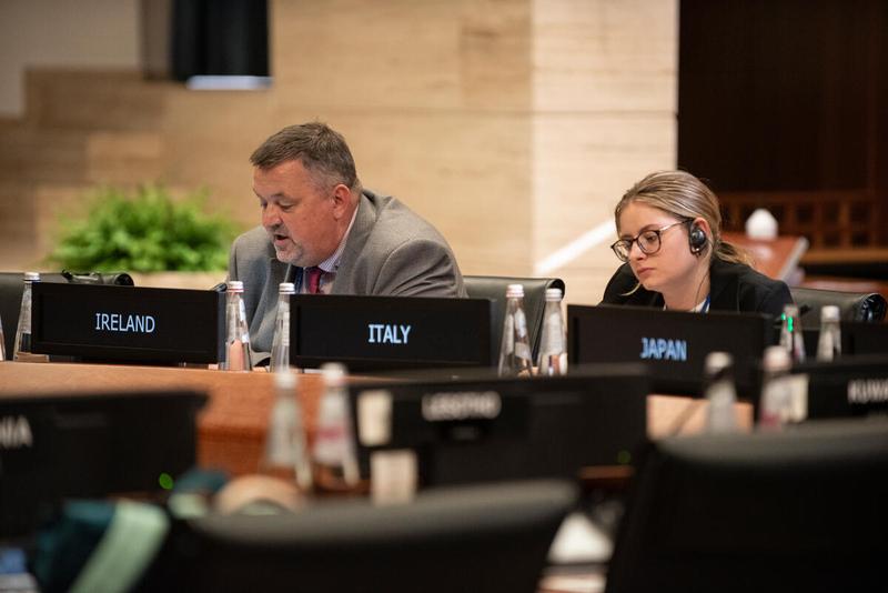 Intervention by the delegation of Ireland. Photo credit: WFP/Daria Addabbo