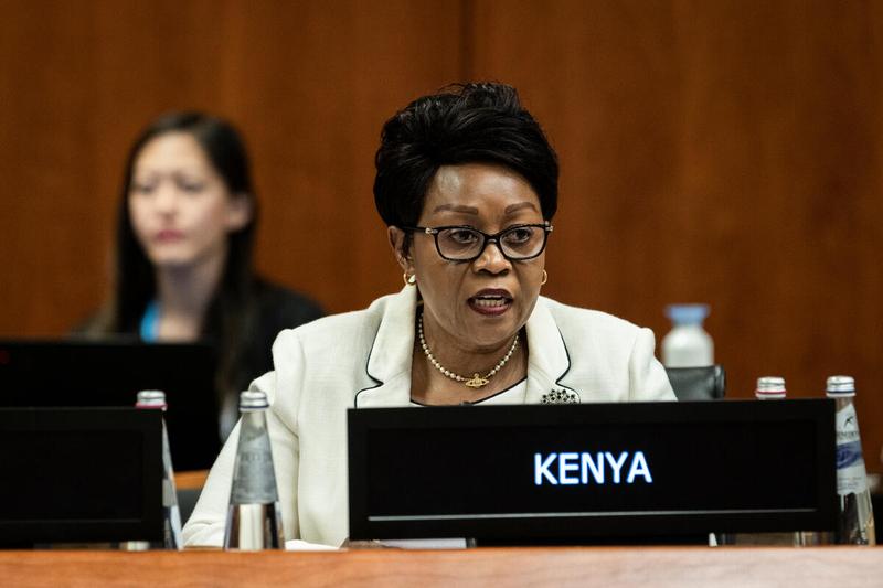 Intervention by H.E. Ms. Jackline Lumumba Yonga, Ambassador of Kenya. Photo credit: WFP/Matteo Minnella