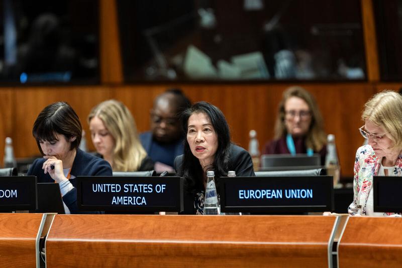 In the photo: intervention by the delegation of United States of America. Photo credit: WFP/Matteo Minnella