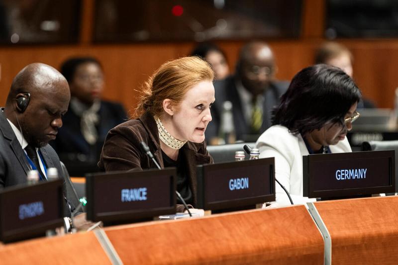 In the photo: intervention by the delegation of Germany. Photo credit: WFP/Matteo Minnella