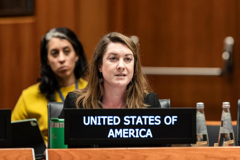 In the photo: intervention by the delegation of United States of America. Photo credit: WFP/Matteo Minnella