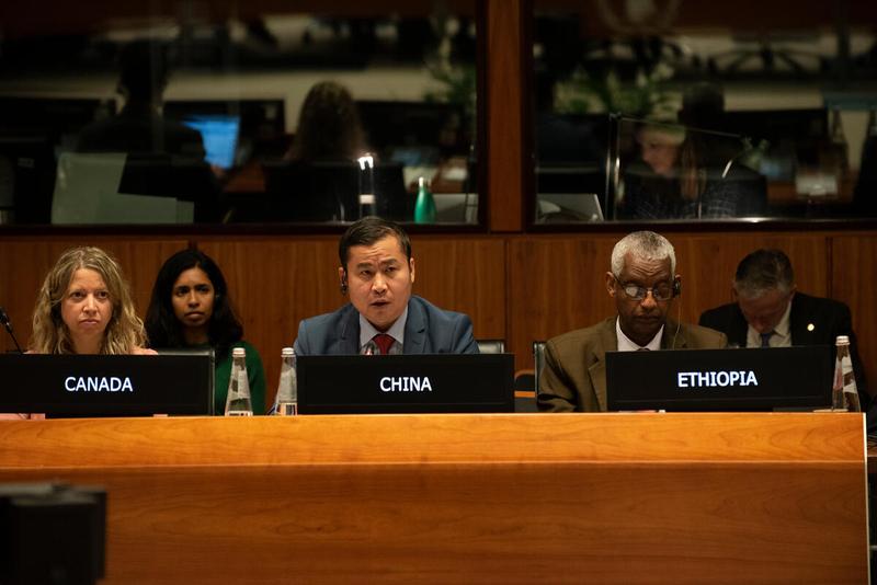 In the photo: intervention by the delegation of China. Photo credit: WFP/Daria Addabbo