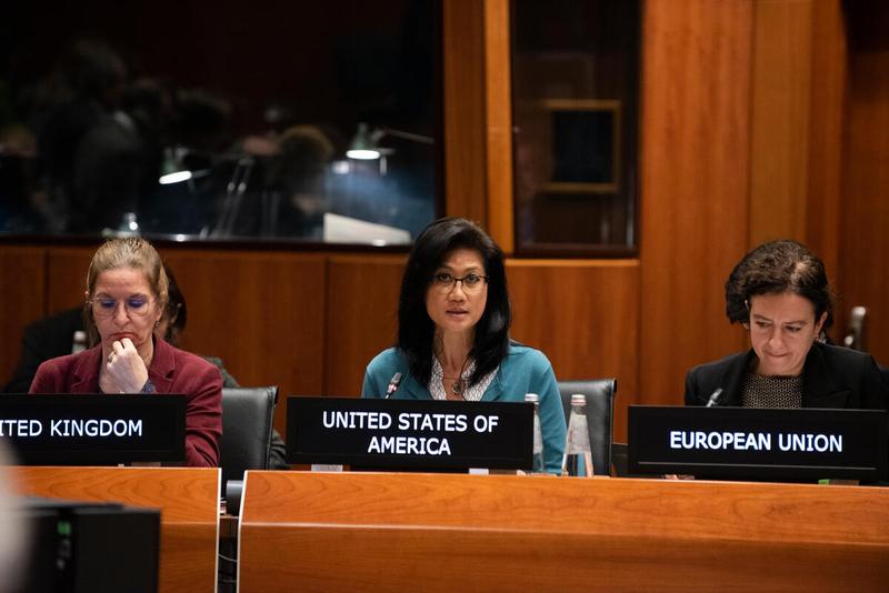 In the photo: intervention by Ms. Hang Nguyen of the delegation of the United States of America. Photo credit: WFP/Daria Addabbo