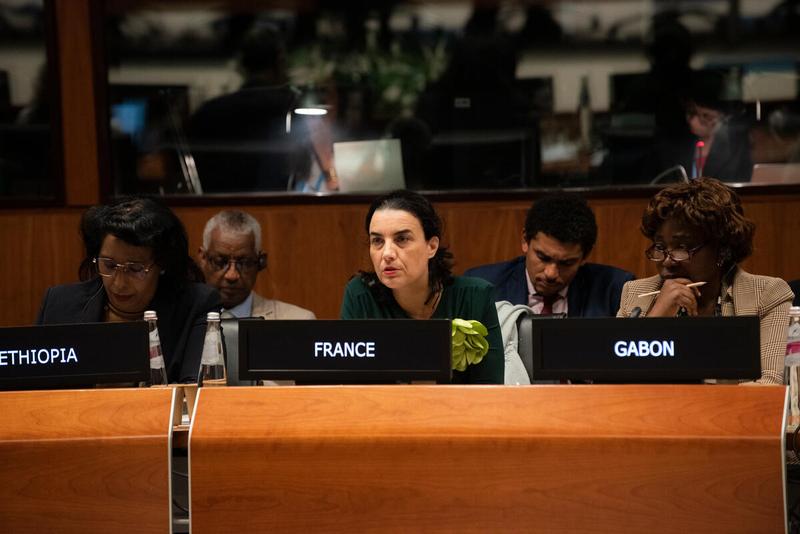 In the photo: intervention by H.E. Ms Céline Jurgensen Ambassador, Permanent Representative of France.