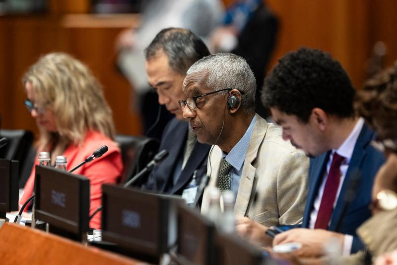 Intervention by the delegation of Ethiopia. Photo credit: WFP/Matteo Minnella