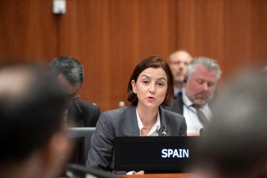 In the photo: intervention by the delegate of Spain. Photo credit: WFP/Daria Addabbo