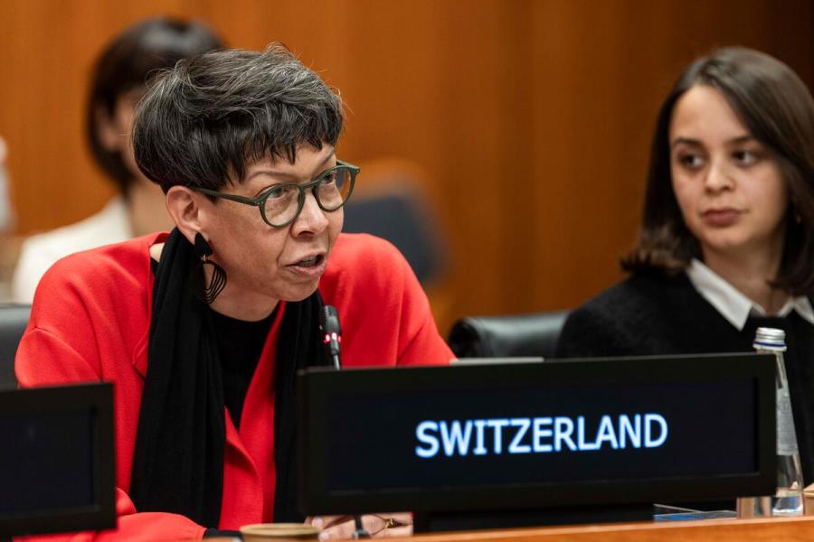 In the photo: intervention by the delegate of Switzerland. Photo credit: WFP/Matteo Minnella