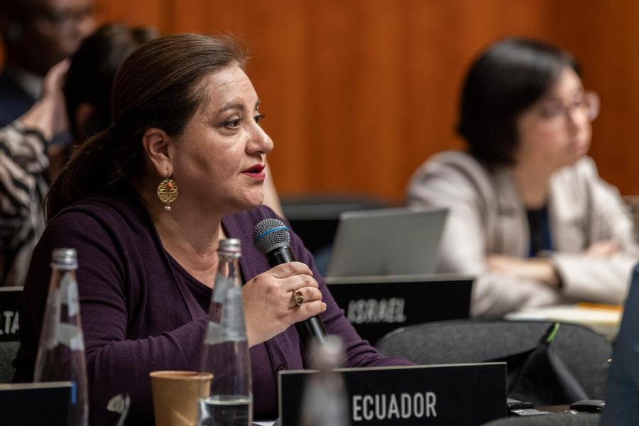 Intervention by the delegation of Ecuador. Photo credit: WFP/Matteo Minnella