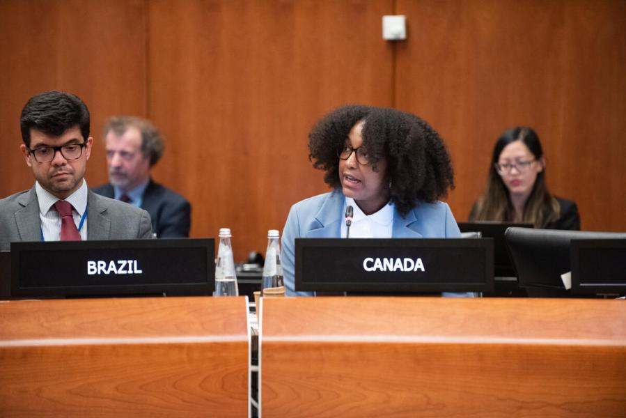 In the photo: intervention by the delegate of Canada. Photo credit: WFP/Matteo Minnella
