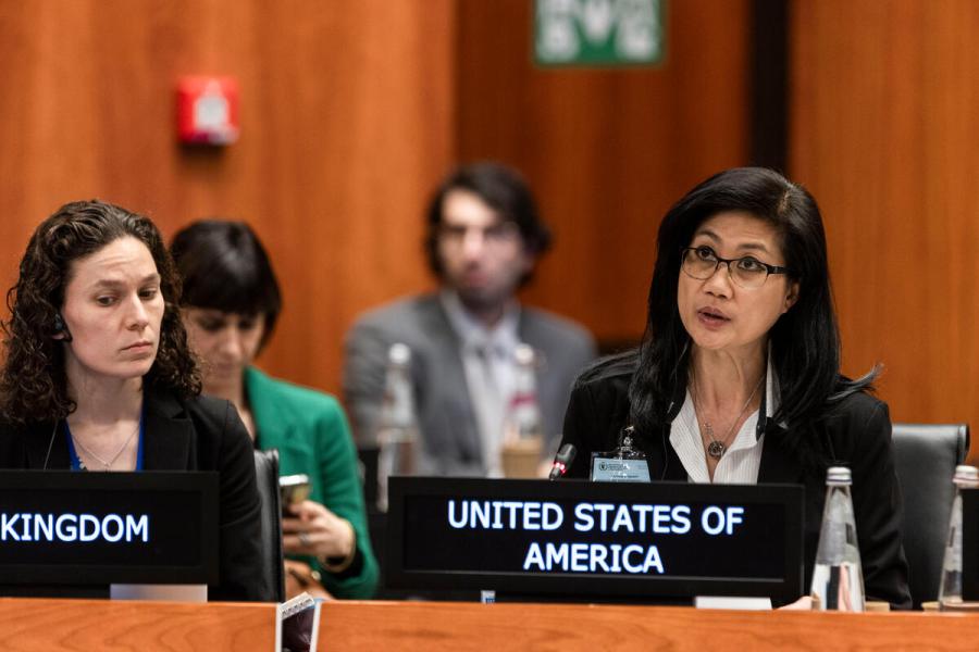 In the photo: intervention by Ms. Hang K. Nguyen, USAID Humanitarian Program Specialist - U.S. Mission to the UN Agencies in Rome. Photo credit: WFP/Matteo Minnella