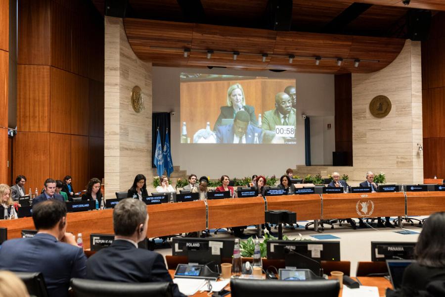 In the photo: intervention by H.E. Catalina Maria CONSTANTIN, Deputy Permanent Representative of the Kingdom of Romania. Photo credit: WFP/Matteo Minnella