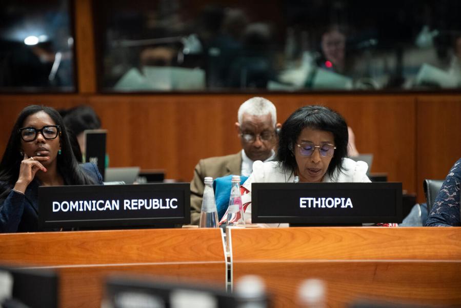 Intervention by H.E. Ms. Demitu Hambisa Bonsa, Ambassador Extraordinary and Plenipotentiary and Permanent Representative of Ethiopia. Photo credit: WFP/Daria Addabbo