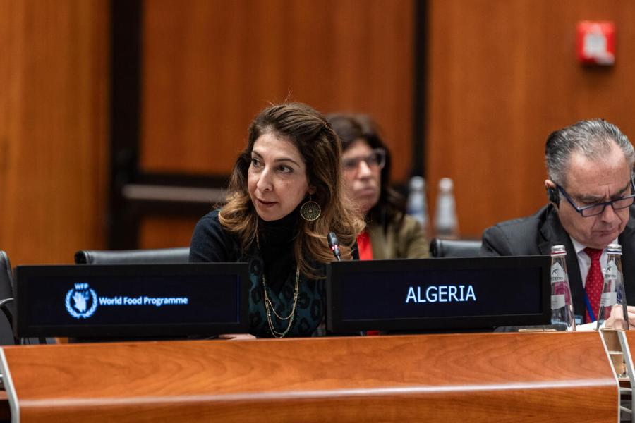 Intervention by the delegation of Algeria. Photo credit: WFP/Matteo Minnella