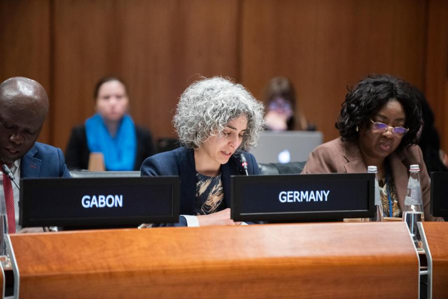 In the photo: intervention by the delegate of Germany. Photo credit: WFP/Daria Addabbo