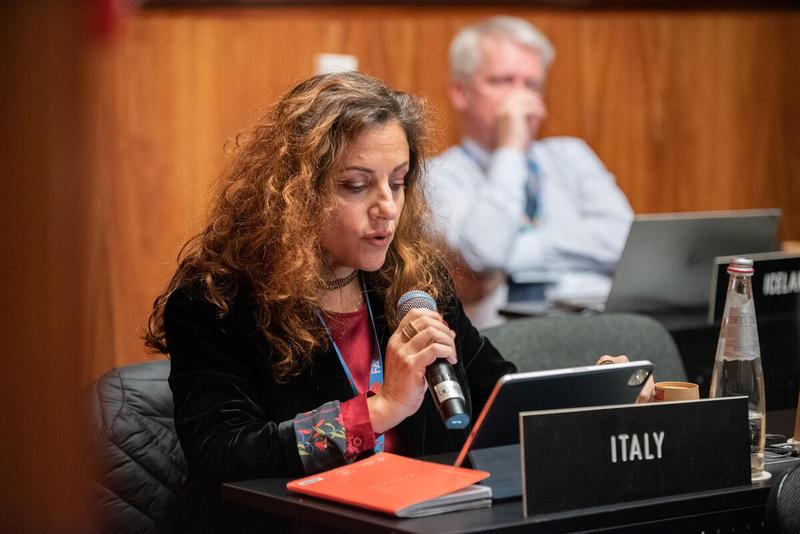In the photo: intervention by the delegation of Italy. Please credit: WFP/Daria Addabbo