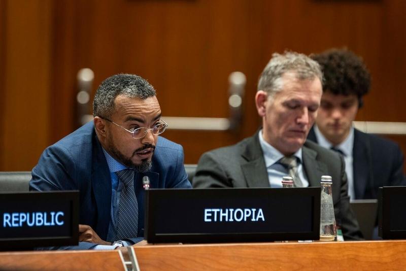 Intervention by the delegation of Ethiopia. Photo credit: WFP/Matteo Minnella